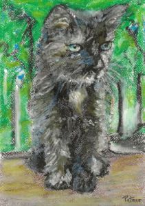 Voir le détail de cette oeuvre: Chaton ébouriffé